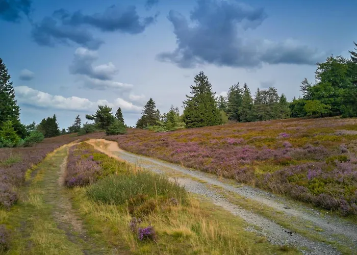 Grosses Apartment, Top-lage, & Berge, Sauna Διαμέρισμα Βίντερμπεργκ